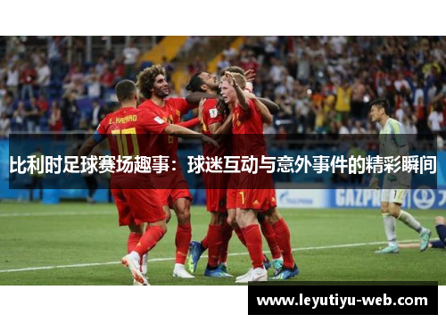 比利时足球赛场趣事：球迷互动与意外事件的精彩瞬间