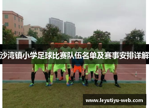 沙湾镇小学足球比赛队伍名单及赛事安排详解